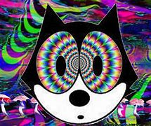 Image result for Trippy Cat Wallpapers for Laptop