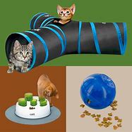 Image result for interactive cat toy
