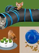 Image result for Interactive Cat Enrichment Toys