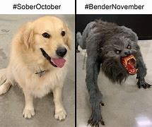 Image result for Dog and Werewolf Meme