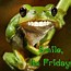 Image result for Friday Frog Meme