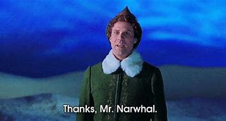 Image result for Buddy The Elf Thank You
