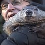 Image result for Zoom Background Groundhog Cute