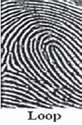 Image result for Xiongnu Fingerprint