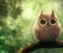 Image result for Cute Wallpaper 1920X1080
