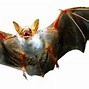 Image result for Monster Bat PNG