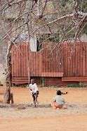 Image result for Playing Cricket