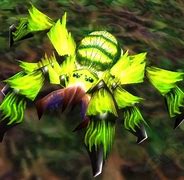 Image result for World of Warcraft Spider