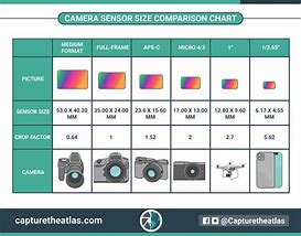 Image result for Camera Sensor Size Comparison