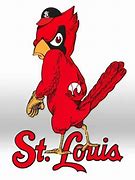 Image result for St. Louis Cardinals Bird