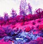Image result for Infrared Filter Effects