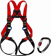 Image result for Full Body Climbing Harness for Kids