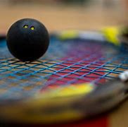 Image result for Squash Sport Ball