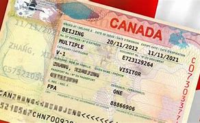 Image result for Canada Transit Visa