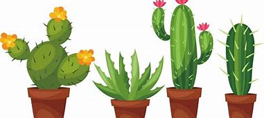Image result for Desert Cactus Clip Art