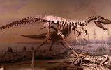 Image result for Biggest Carnivorous Dinosaur