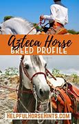 Image result for Azteca Horse Animal