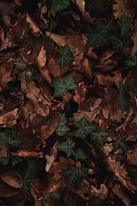 Image result for Green Brown Aesthetic