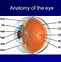 Image result for Retina Biometric