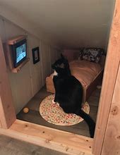 Image result for Small Rroom for Cat