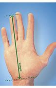 Image result for How to Measure Hand Size