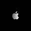 Image result for iPhone 12 Pro Max White Flashing Apple Logo