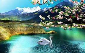 Image result for Cute Nature Computer Wallpaper