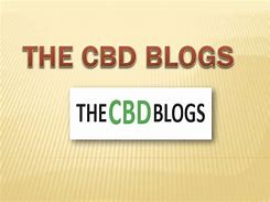 Image result for http the cbd blogs