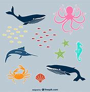 Image result for Free Ocean Life Vector