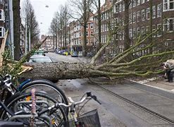 Image result for Storm in Netherlands