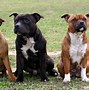 Image result for Types of Pits
