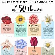 Image result for Meaning of Flowers Poster
