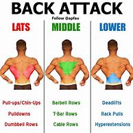 Image result for Back Fat Exercises
