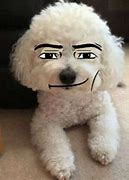 Image result for Dog Cute Profile Pic Roblox
