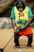 Image result for Funny Golf Screensavers