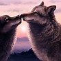 Image result for Wolves Love