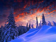 Image result for Snowy Landscape Photos