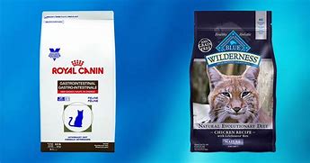 Image result for Royal Canin High-Fiber Cat Food