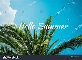 Image result for Hello Summer Two Palms