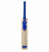 Image result for Free Hit Siren in Cricket