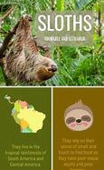 Image result for Sloth Poop