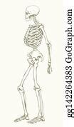 Image result for Human Skeleton Cartoon