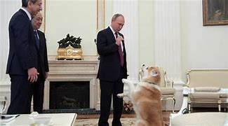 Image result for Vladimir Putin Dog