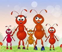 Image result for Ant Family Cartoon