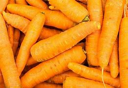 Image result for Carrot Orange Color