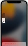 Image result for Siri iPhone 12