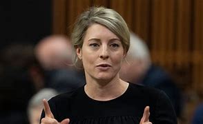 Image result for melanie joly 2023 election