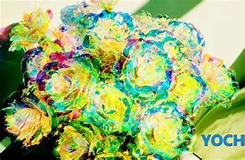 Image result for Galaxy Rose Real Gold