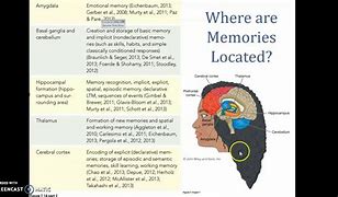 Image result for Distorted Memory