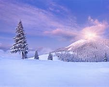 Image result for Snow Landscape